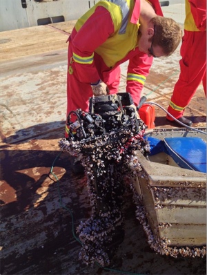 mercury engine starts after being submerged for months